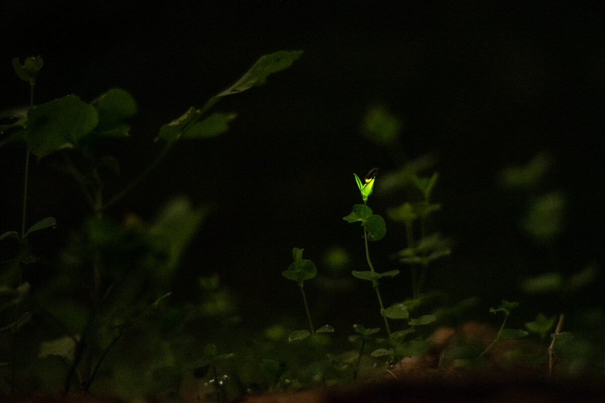 06 / 08