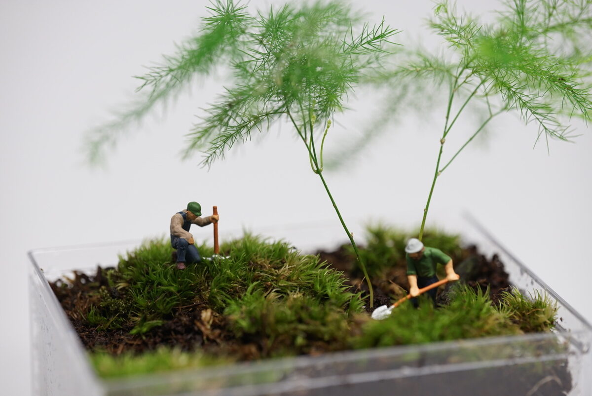 Small Worlds
