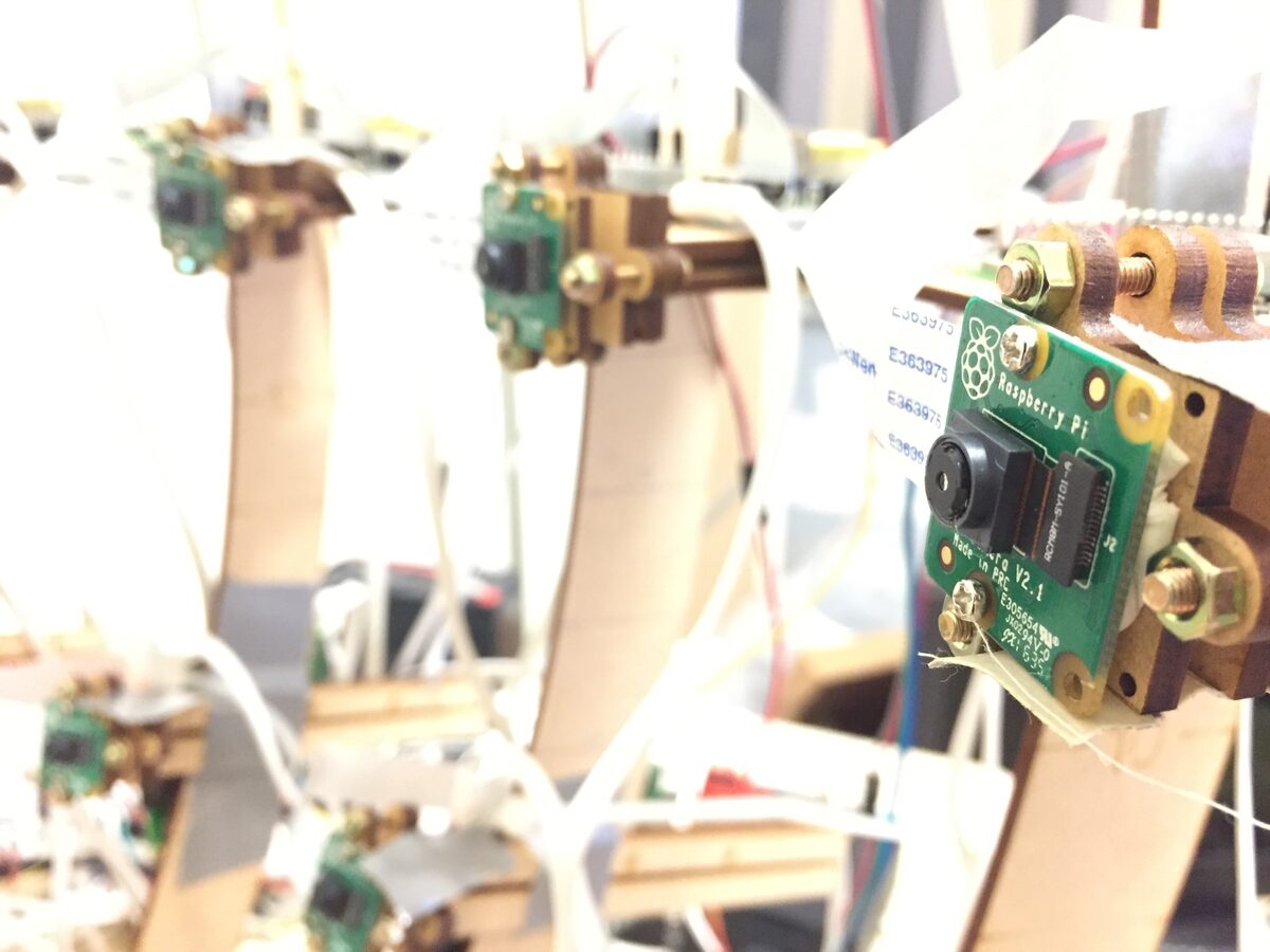 Detail — Raspberry Pi Camera V2, visible Pi logo on sensor PCB